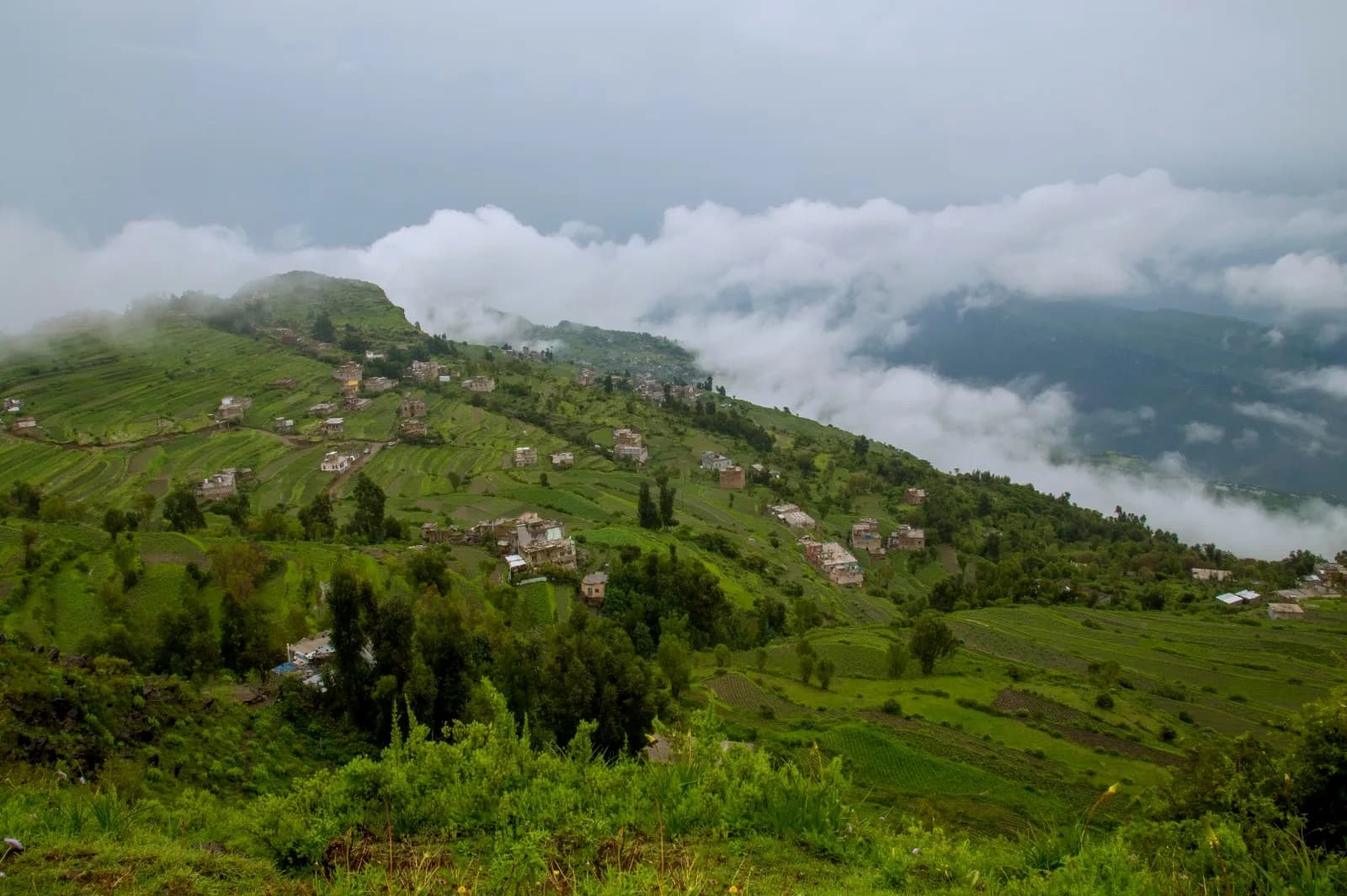 Yemen's terraced coffee-growing highlands
